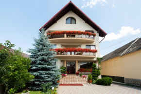 Camere de inchiriat Casa cu flori